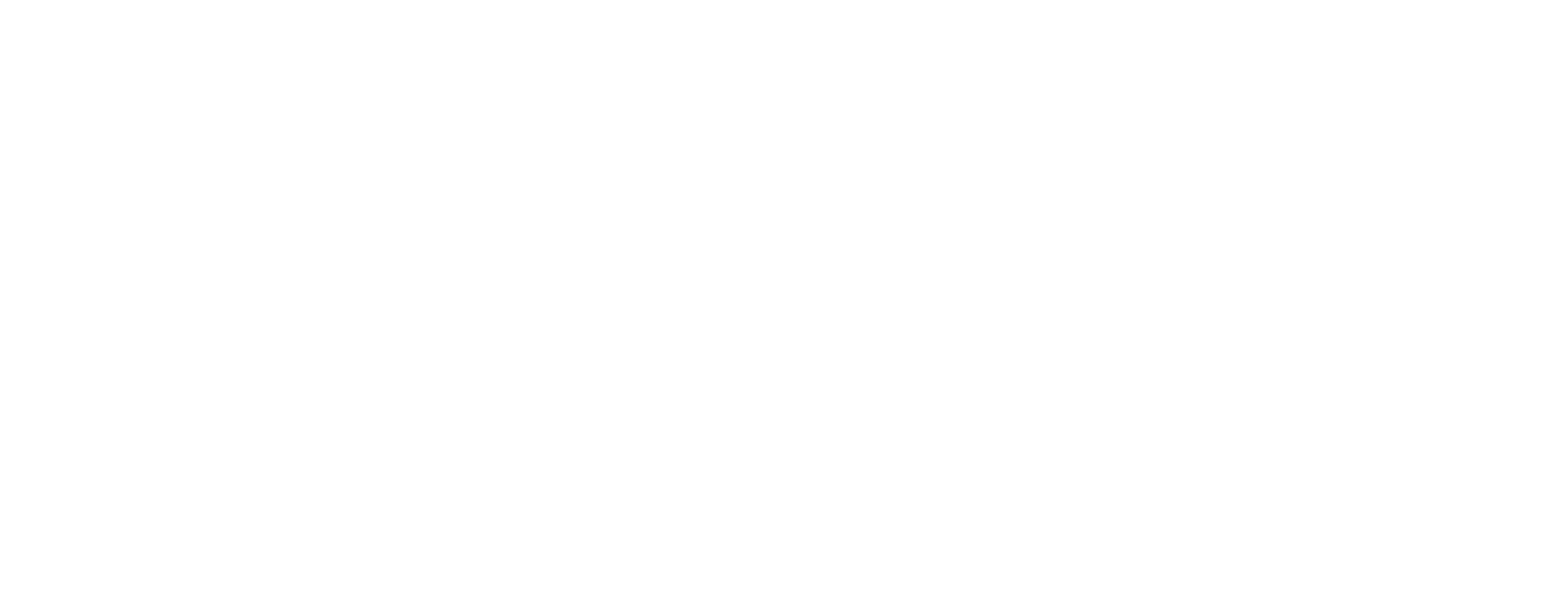 RFI Logo